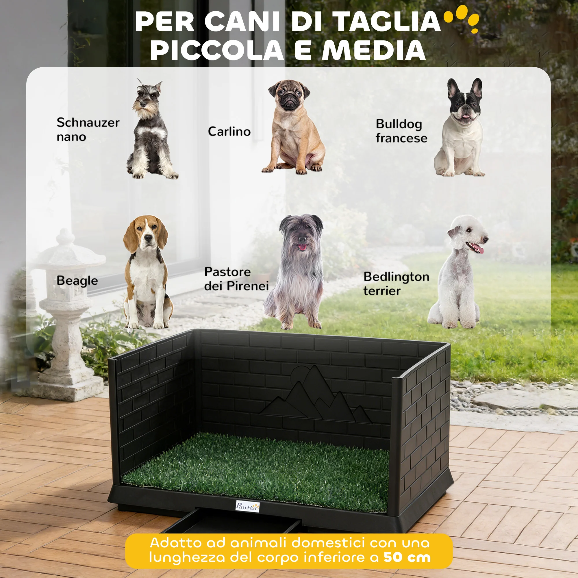 Immagine prodotto 8