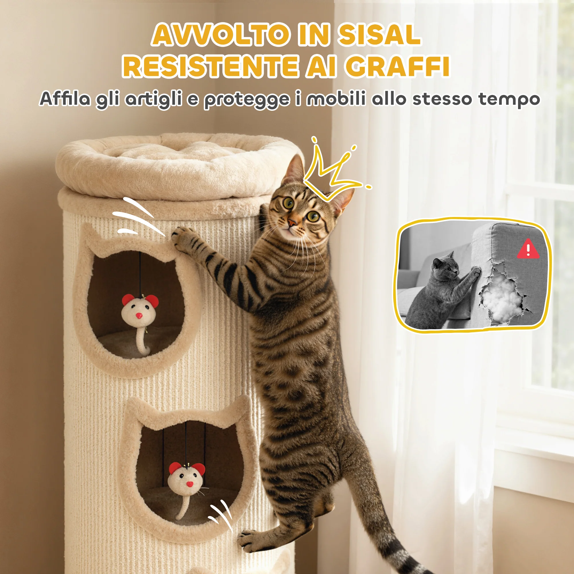Immagine prodotto 5