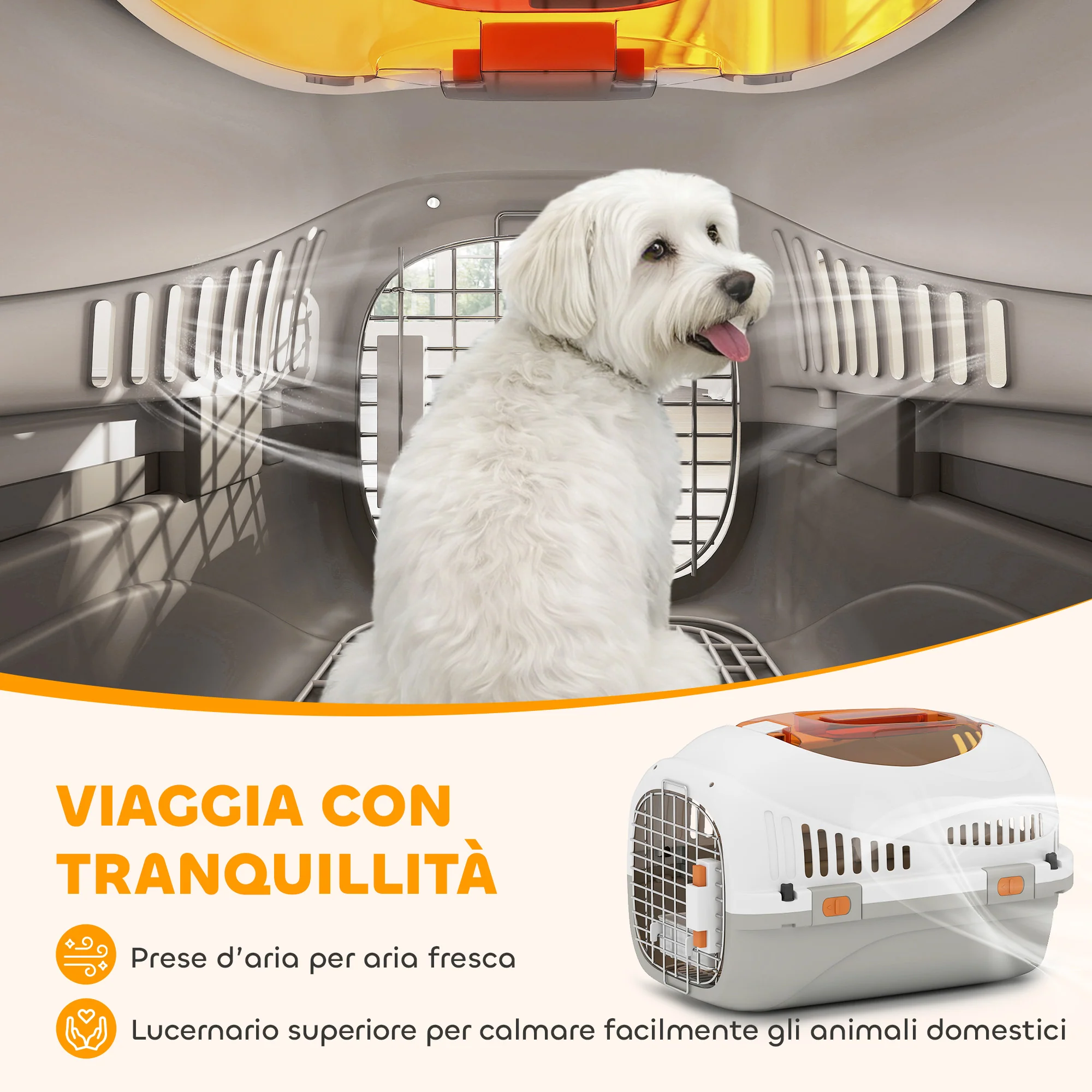Immagine prodotto 6