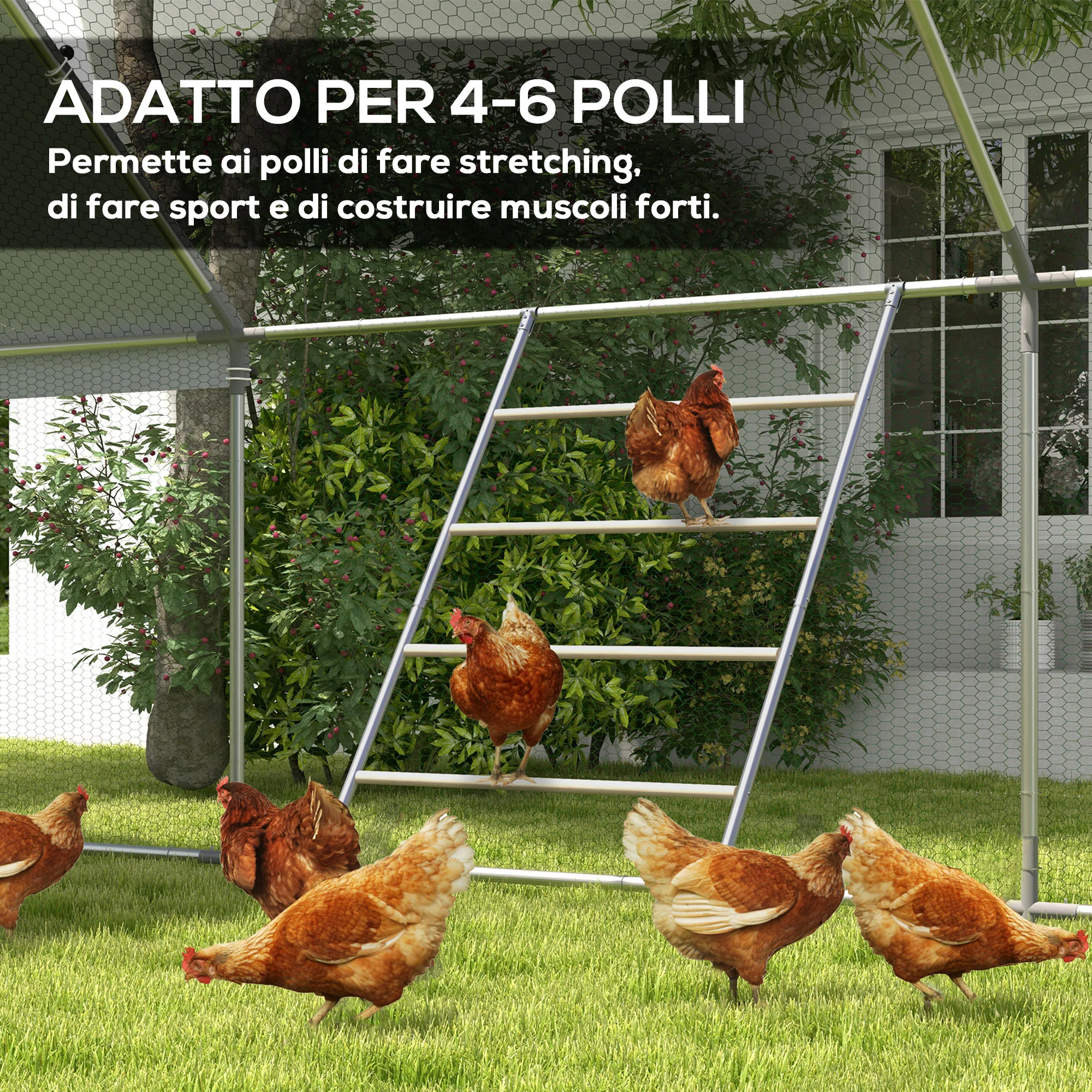 Immagine prodotto 6