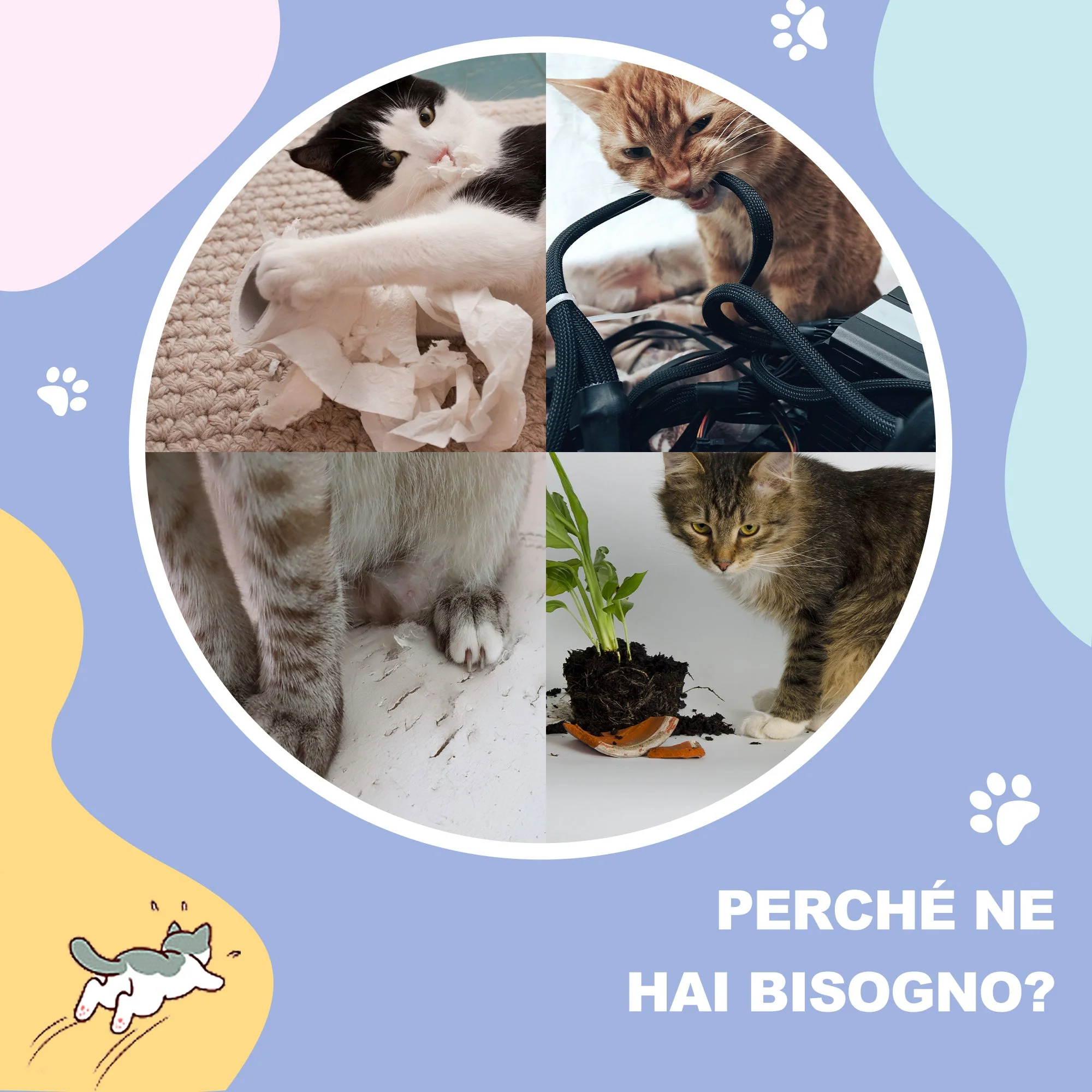 Immagine prodotto 7