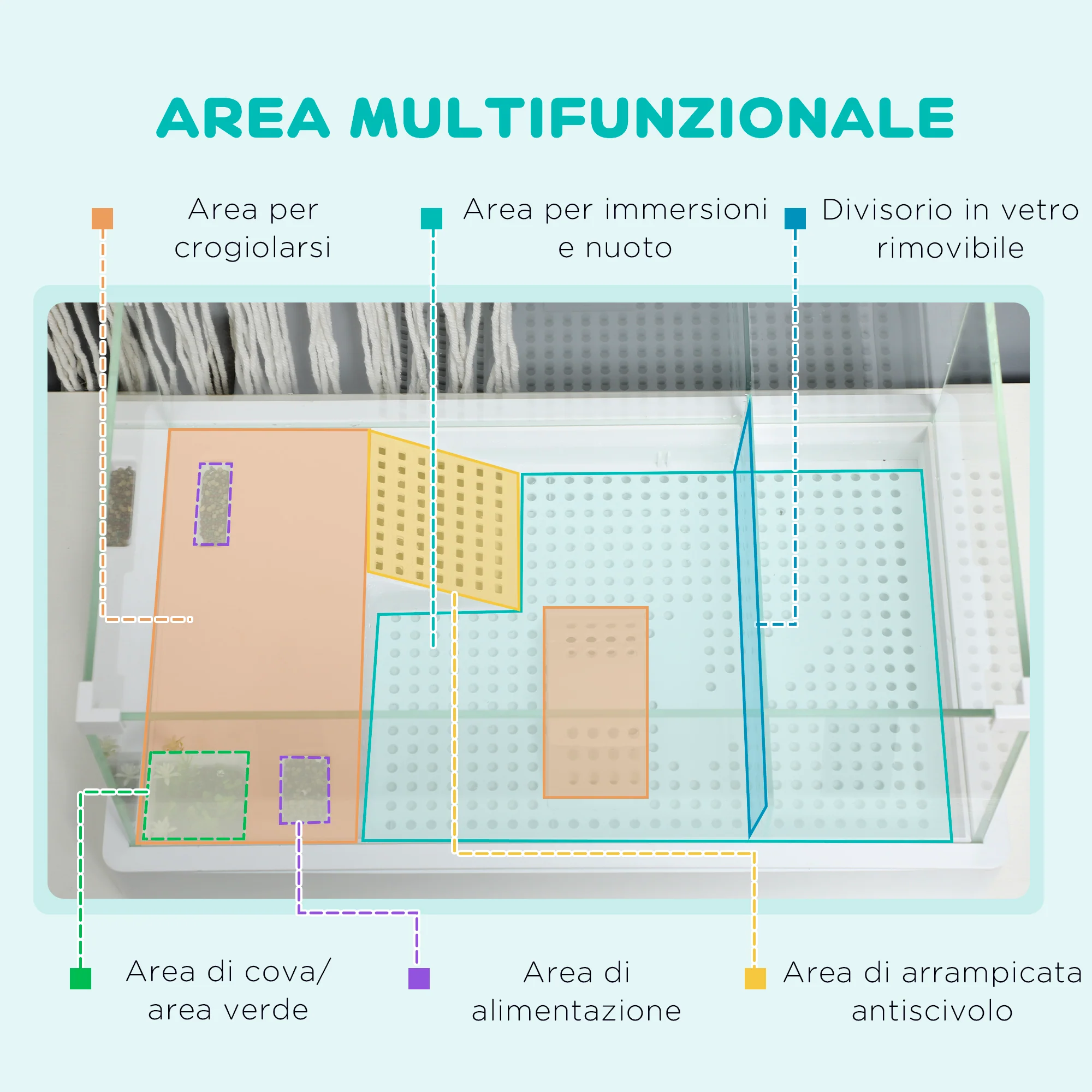 Immagine prodotto 5